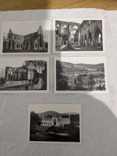 Tintern abbey photos - abbey,