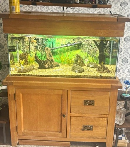 200l aquaoak aquarium with - aquaoak,