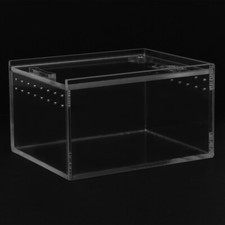 Reptile Feeding Box Baby