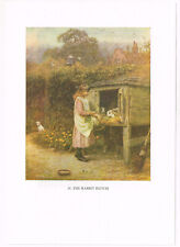 The Rabbit Hutch by Helen Allingham Print 1985 Picture 4.375" x 5.375"