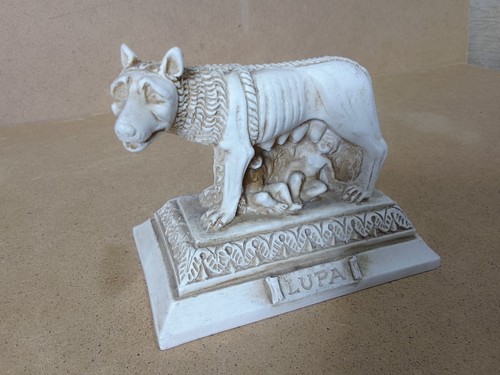 Lupa roma wolf with - roma,,