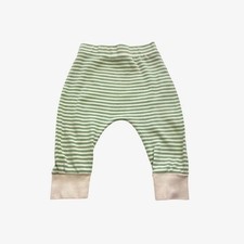 Little Green Radicals, Green