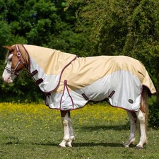 Gallop Trojan Dual Turnout