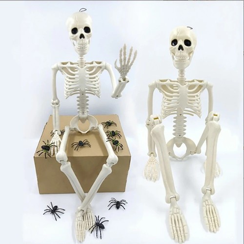 40cm posable human skeleton - 40cm,