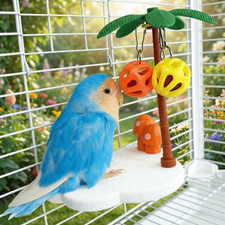 Detachable paw grinding - detachable,