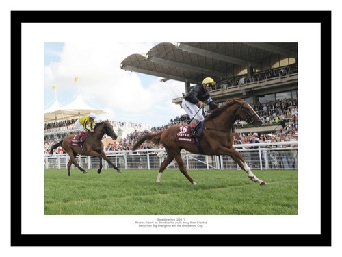Stradivarius 2017 goodwood cup - stradivarius,
