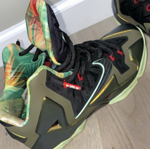 Nike lebron kings pride sz - pride,