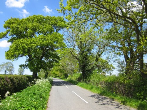Photo picton lane mickle - a3, lane,