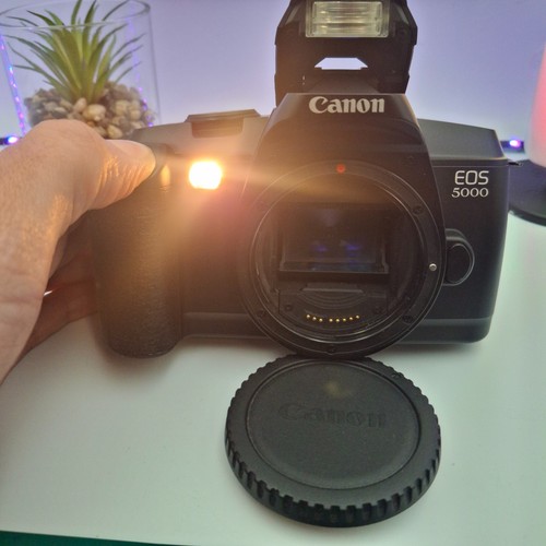 Canon eos 5000 black 35mm - canon,
