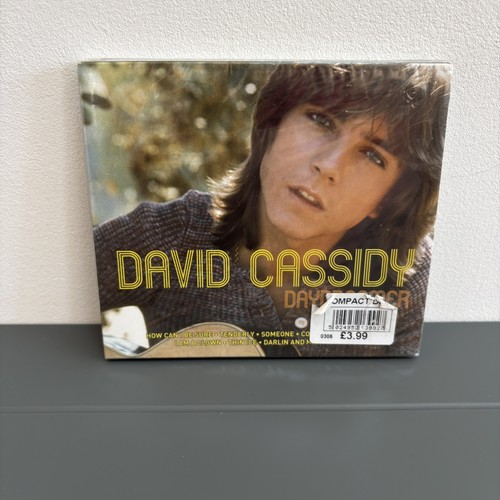 Cassidy david daydreamer - -,