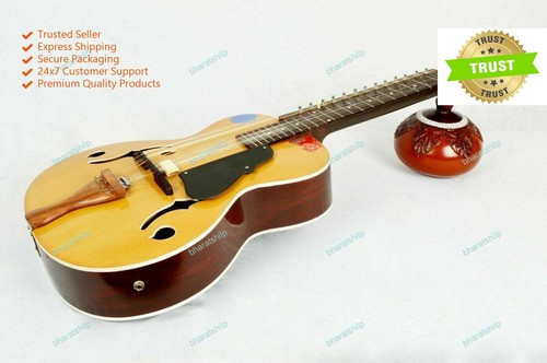 New chaturangui mohan veena - new,