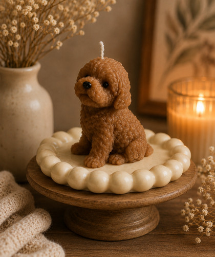 Adorable little dog brown - adorable,
