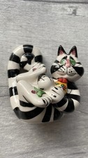Blue Sky Striped Cat Salt &