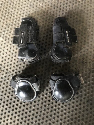 Whitaker black tendon - black, and