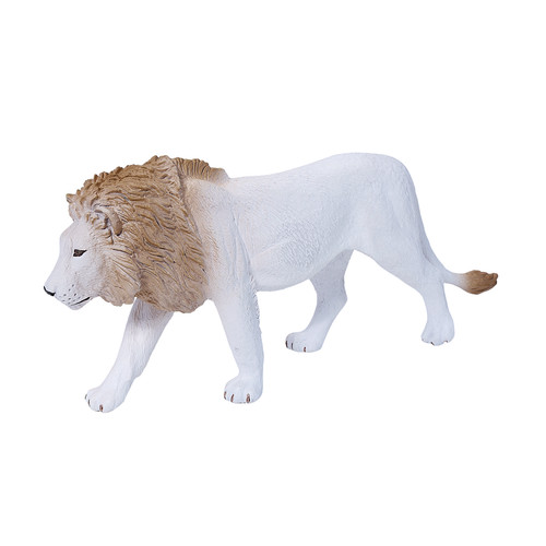 Male white lion wild - male,