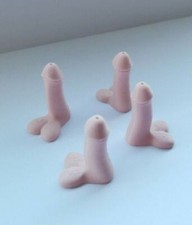 Novelty Car Bike Tyre Willy