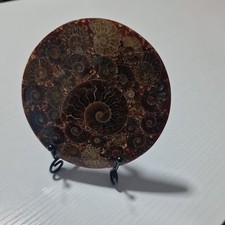 Large 11cm High Quality Lovely