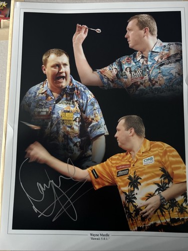 Wayne mardle darts signed - wayne,