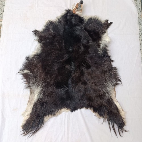 Authentic goat skin - authentic, real