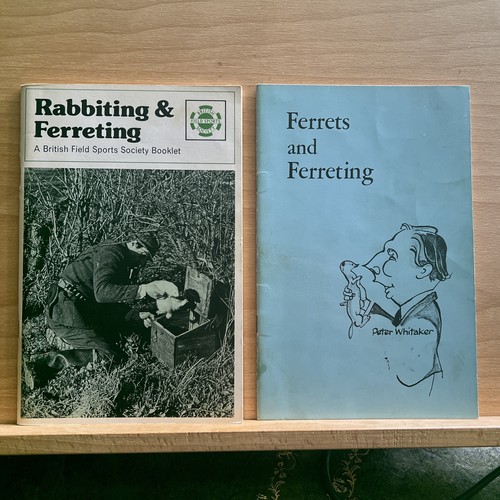 Rabbiting ferreting - &,