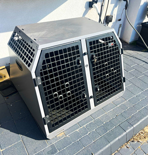 Trans double dog - trans, k9