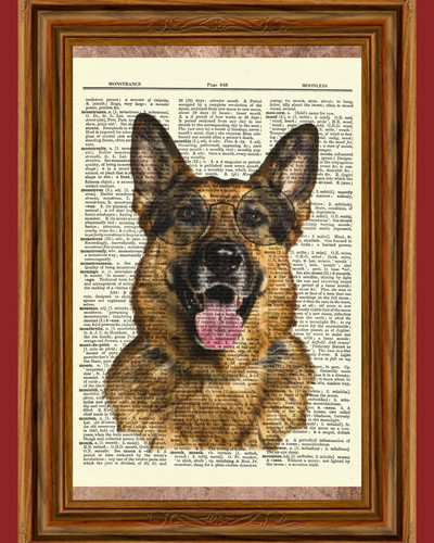 German shepherd glasses dog - glasses,