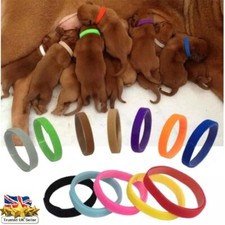 Set of 12 Puppy Adjustable
