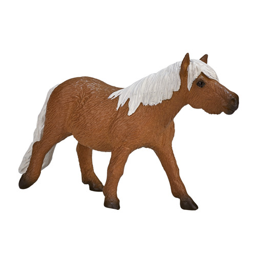 Shetland pony horse - pony, model