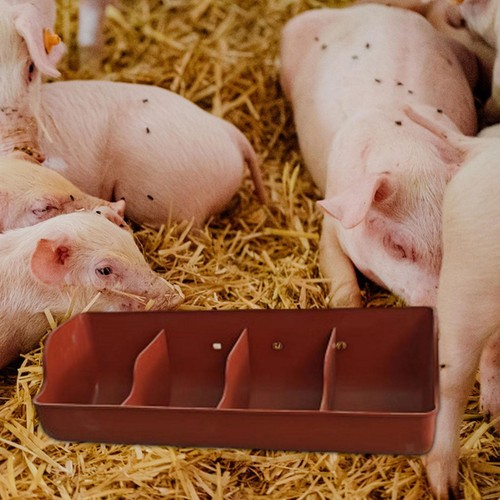Pig trough fence - pig,