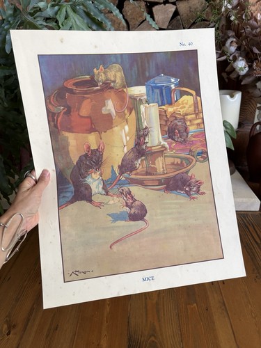 Vintage 50s macmillan nixon - vintage,