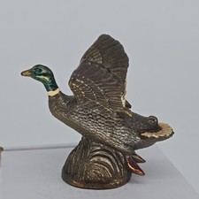 Ring Neck Green Headed Duck