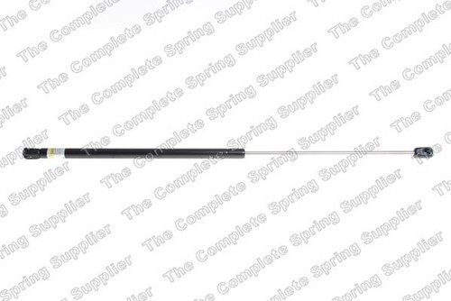 Lesjofors 8056820 bonnet gas - 8056820,
