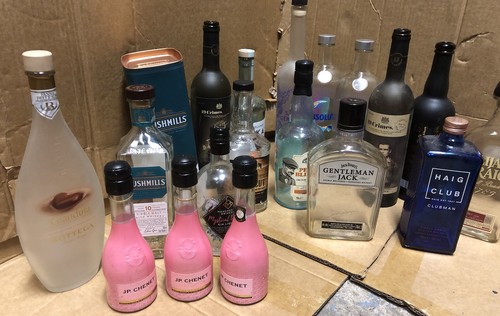Empty alcohol bottles upcycle - empty,