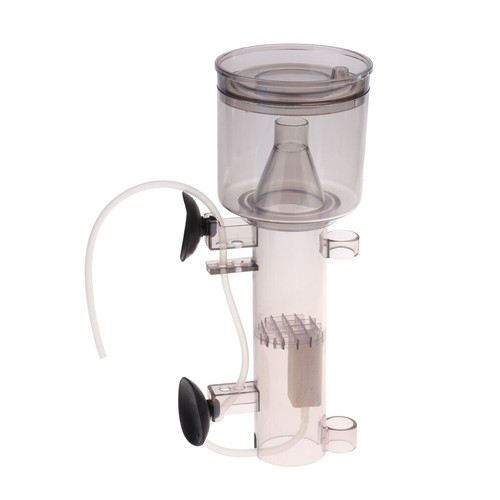 Blesiya aquarium tank marine - blesiya,