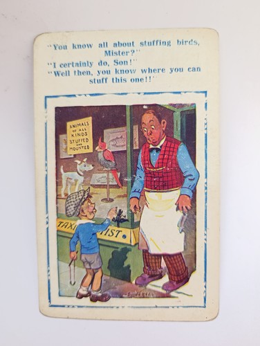 Donald mcgill vintage saucy - mcgill,