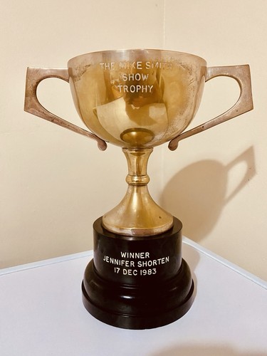 Silver trophy retro - silver,