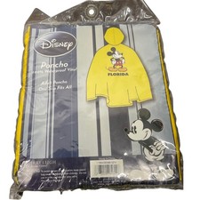 Disney Mickey Mouse Florida