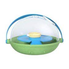 Turtle Incubation Reptile