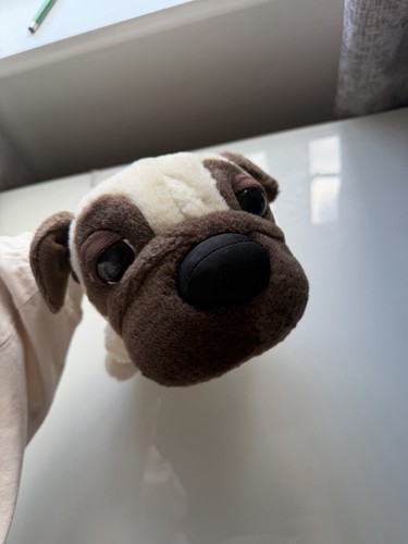 Artist international pug - international,