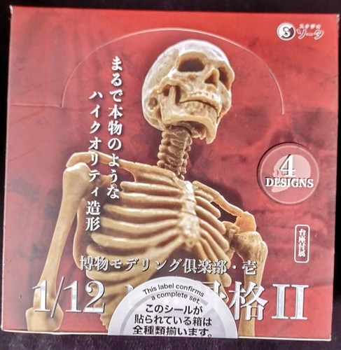 12 scale accurate - ,