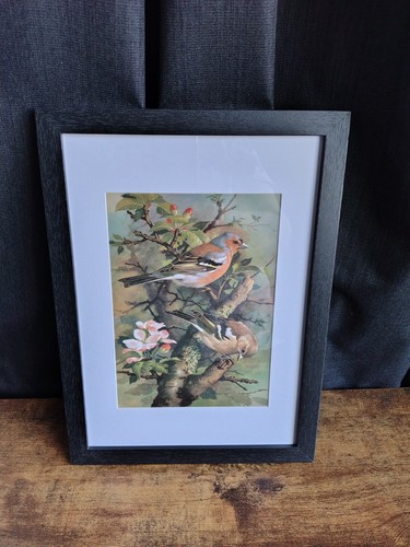 Framed colour print - framed,