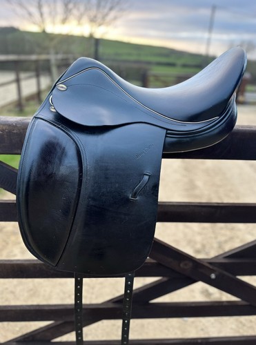 Harry dabbs elegance - harry, ,17.5