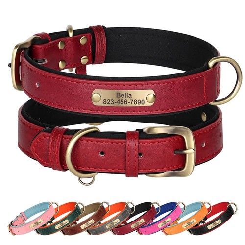 Dog collar personalised - collar, soft