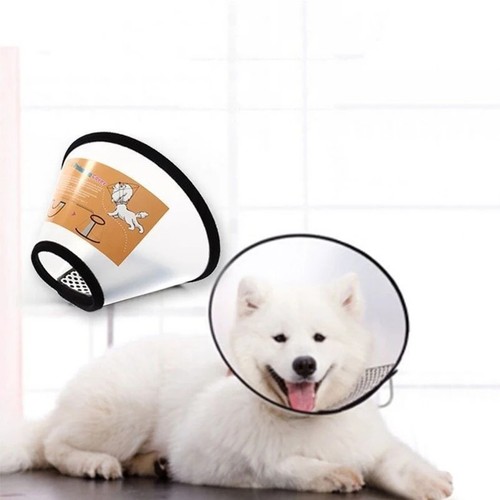 Elizabethan pet protective - pet,
