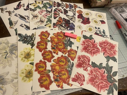 Anna griffin antique botanic - anna,