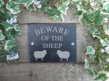 Beware Of The Sheep Natural