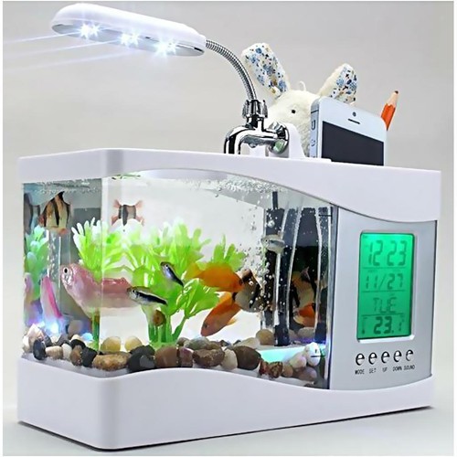 Glass aquarium starter - 5l,