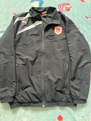 Cardiff city 2012 13 - cardiff,