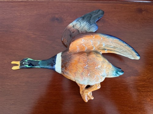 Falcon ware mallard - duck, wall
