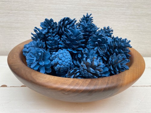 Blue sprayed small pine cones - sprayed,